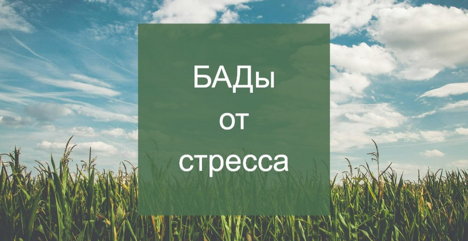 Елена Суханова Психокоррекция через нутрицевтики 2024 слив курса