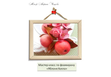 Яблоня Холла - Ченцова 2015 слив