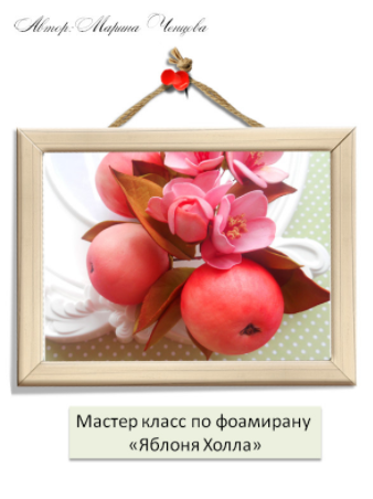 Яблоня Холла - Ченцова 2015 слив курса