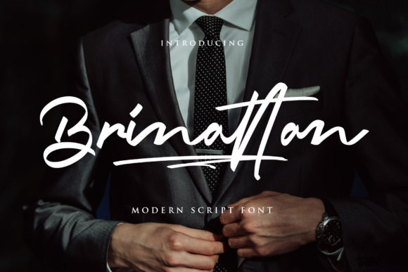 Creativefabrica Brinattan Font слив курса