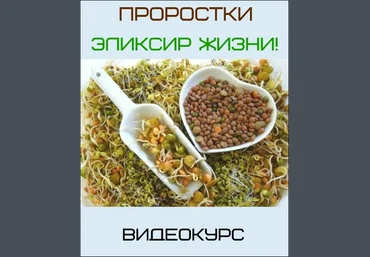 Видеокурс - Проростки - эликсир жизни - Ирина Дудник слив