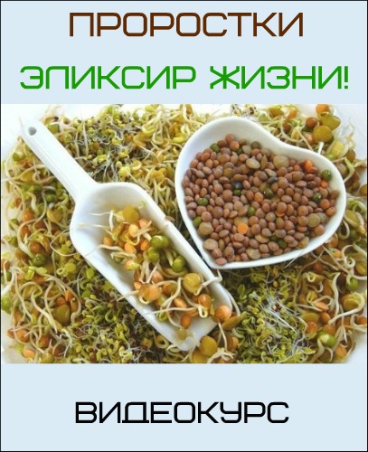 Видеокурс - Проростки - эликсир жизни - Ирина Дудник слив курса
