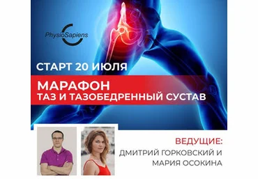 Дмитрий Горковский, Мария Осокина Таз и тазобедренный сустав 2020 слив