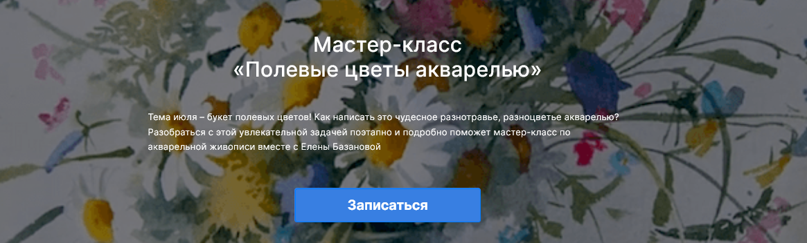 Елена Базанова lectoroom Полевые цветы в акварели 2025 слив курса