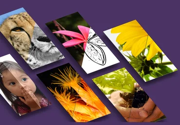 Bundlestorm Adobe Photoshop Actions слив