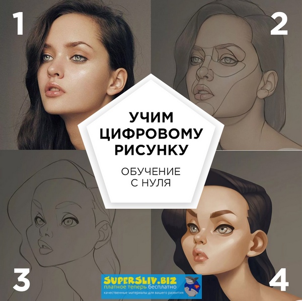 Fenix Анастасия Васильева - Базовый курс по цифровому рисунку 2019 слив курса