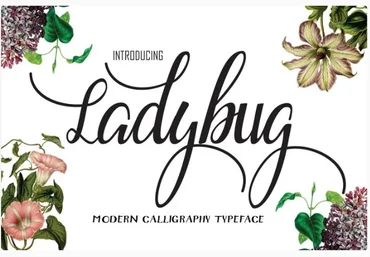 Fontbundles Ladybug Font 2021 слив
