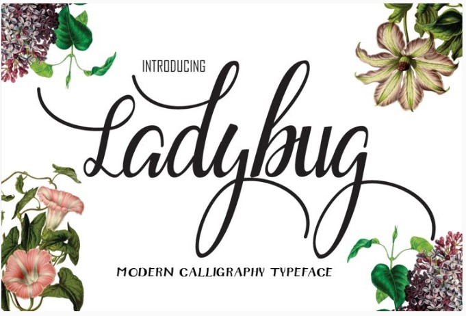 Fontbundles Ladybug Font 2021 слив курса
