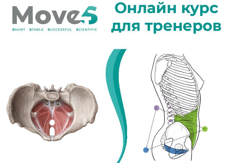 move4s Леля Савосина - Тазовая диафрагма 2020 слив курса