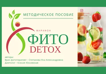Яна Степанова phytoyana Методичка «Фито-детокс» 2024 слив