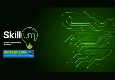Udemy Визуальное программирование 2019 слив