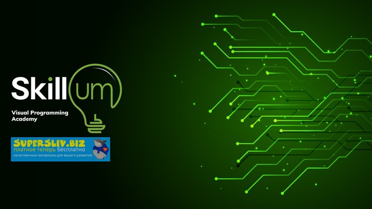 Udemy Визуальное программирование 2019 слив курса