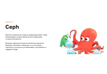 Виталий Филиппов, Александр Чистяков Слёрм Видеокурс Ceph 2022 слив