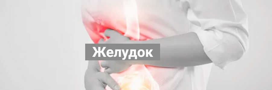 Никита Истомин Желудок 2024 слив курса