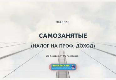 Катерина Пимкина Самозанятые налог на проф. доход 2020 слив