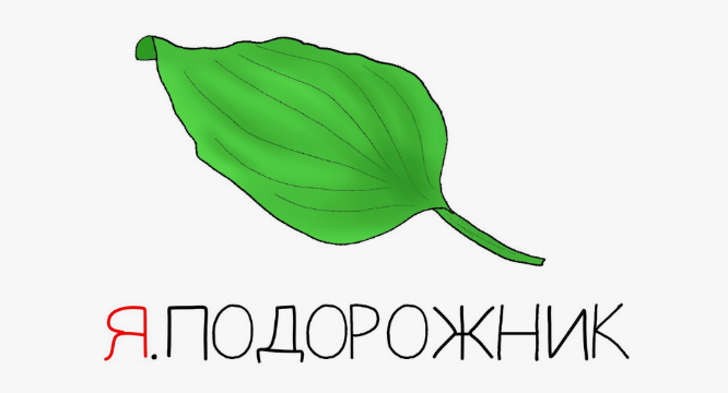 Антон Маркин Я.Подорожник 2024 слив курса