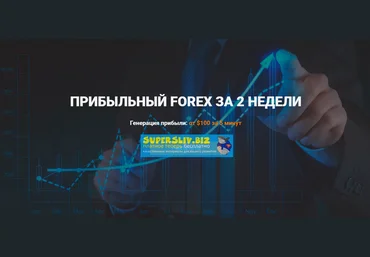 Николай Еремеев Прибыльный FOREX за 2 недели 2019 слив