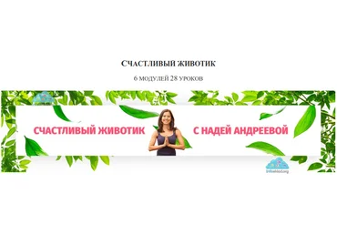 Счастливый животик 2.0 - Андреева 2017 слив