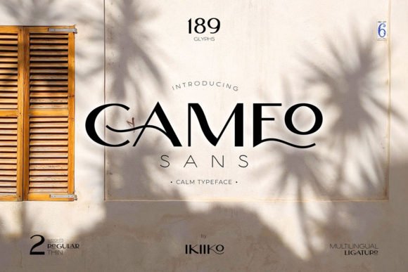 Creativefabrica Cameo Font 2021 слив курса