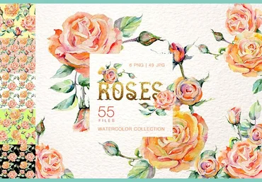 Creativemarket Stylish rose Watercolor слив