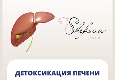Шефова Юлия dr.shefova Детоксикация печени 2022 слив