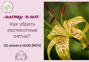 Лилия Вирлан Академия AromaVita Как убрать пигментные пятна 2022 слив