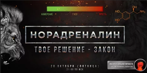 Михаил Рысак - Норадреналин. Твое решение - закон 2017 слив курса
