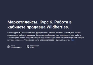 Анастасия Эджингтон Stepik Маркетплейсы. Курс 6. Работа в кабинете продавца Wildberries 2023 слив