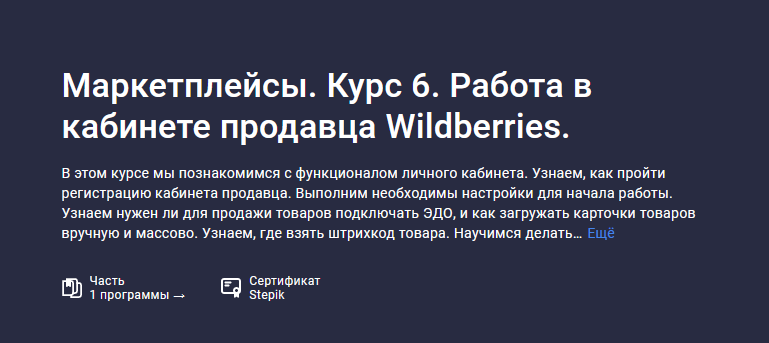 Анастасия Эджингтон Stepik Маркетплейсы. Курс 6. Работа в кабинете продавца Wildberries 2023 слив курса