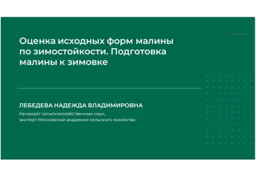 НИИДПО Оценка исходных форм малины по зимостойкости. Подготовка малины к зимовке 2024 слив