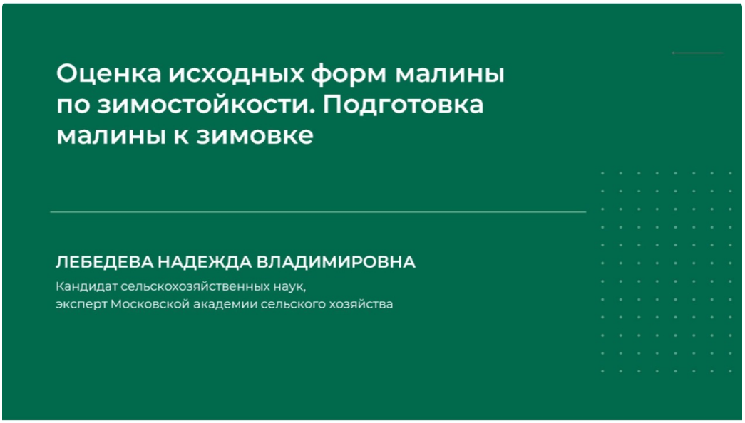 НИИДПО Оценка исходных форм малины по зимостойкости. Подготовка малины к зимовке 2024 слив курса