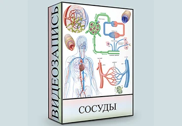 Людмила Малышева Сосуды 2020 слив