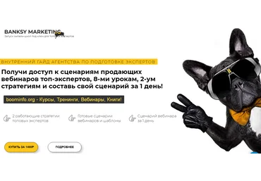Анастасия Ланская Как проводить вебинары и прямые эфиры, чтобы у вас покупали 2020 слив