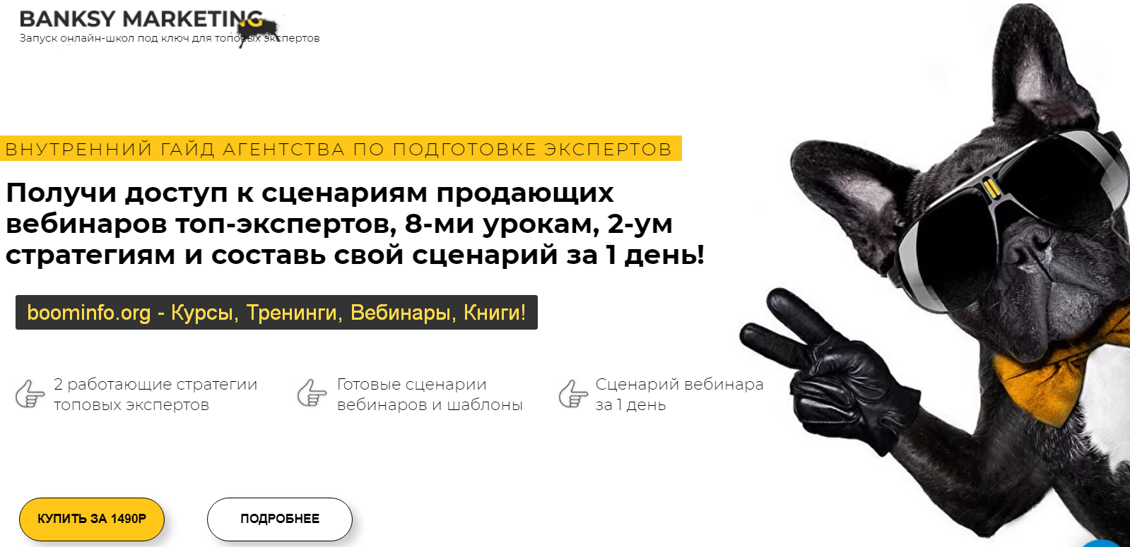 Анастасия Ланская Как проводить вебинары и прямые эфиры, чтобы у вас покупали 2020 слив курса