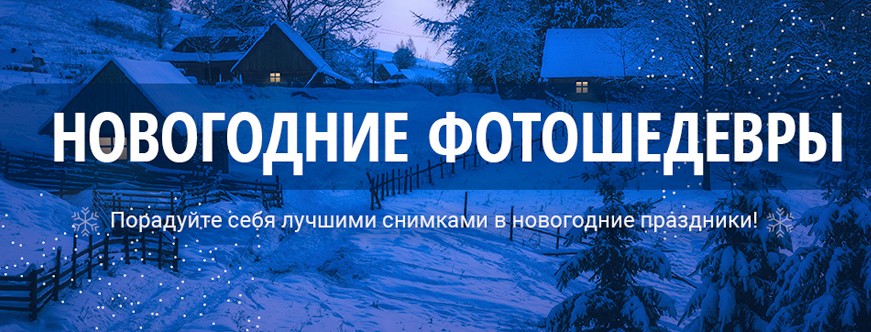 Александр Заморин, Вадим Шемет Новогодние фотошедевры 2020 слив курса