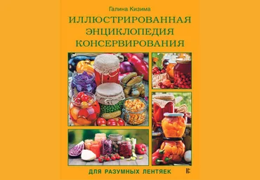Галина Кизима Иллюстрированная энциклопедия консервирования 2018 слив