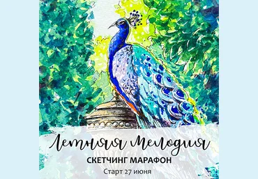 Анастасия Козлова Dream&Draw Марафон по акварельному скетчингу «Летняя мелодия» 2022 слив