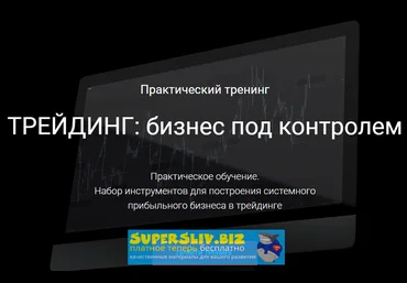 Сергей Митюков Трейдинг: бизнес под контролем слив