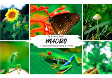 Rockboy Studio 15 Macro Lightroom Presets 2021 слив
