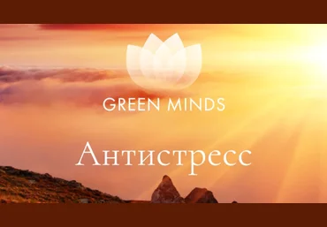 Алексей Ситников Нейромедитация Green Minds «Антистресс» 2023 слив
