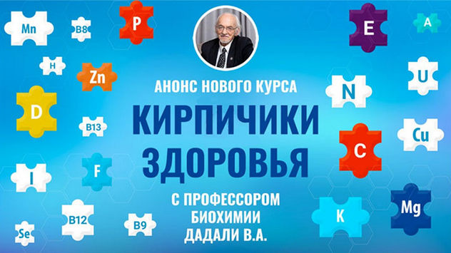 Владимир Дадали Кирпичики здоровья 2024 слив курса