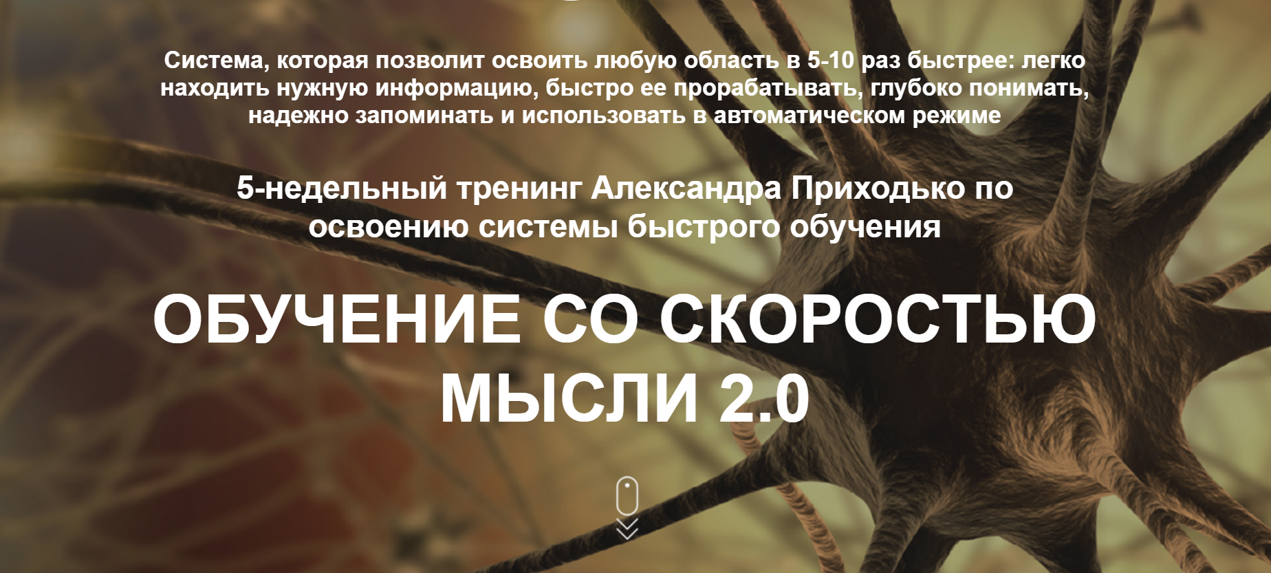 Александр Приходько Обучение со скоростью мысли 2.0 2019 слив курса