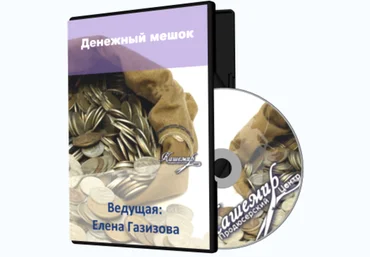 Денежный мешок - Газизова 2015 слив