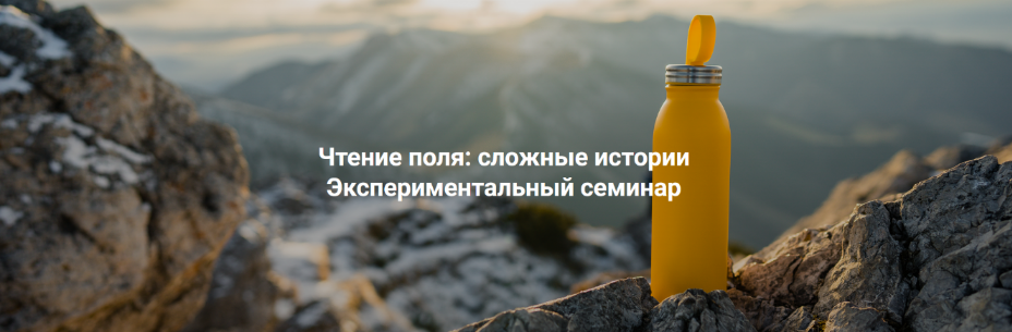 Елена Веселаго Чтение поля: сложные истории. Экспериментальный семинар 2025 слив курса