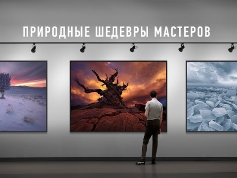 Profileschool Дмитрий Шатров. Природные шедевры мастеров слив курса