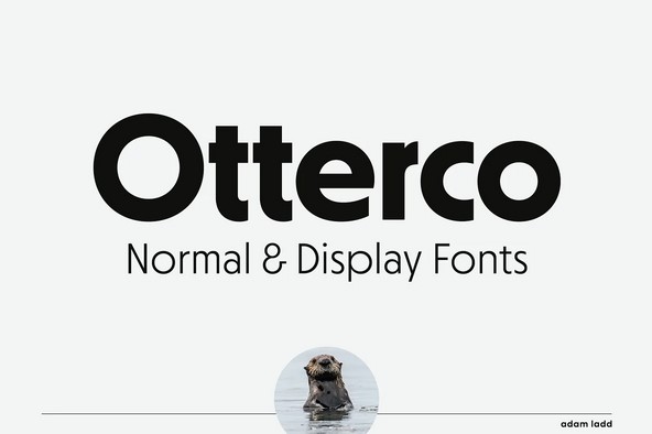 Creativemarket Otterco Font 2021 слив курса