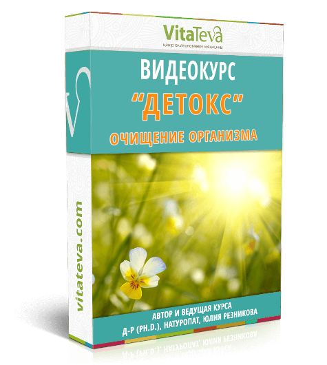 Детокс - очищение организма - Резникова 2016 слив курса