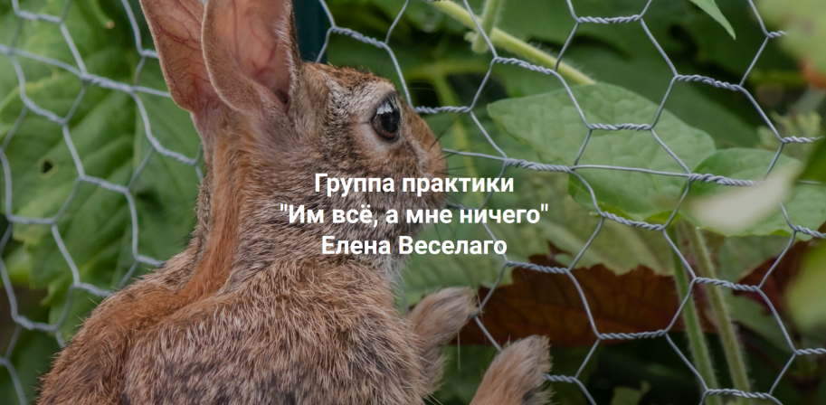 Елена Веселаго Институт Открытого Поля Им всё, а мне ничего 2024 слив курса