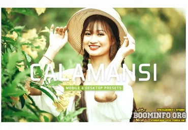 Elements.Envato Calamansi Mobile & Desktop Lightroom Presets 2021 слив