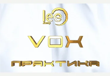 Lee Vox Практика 2024 слив